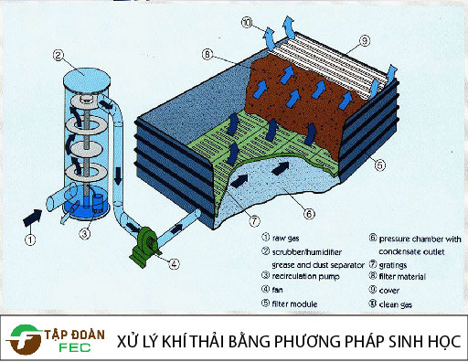 xu-ly-khi-thai-bang-phuong-phap-sinh-hoc